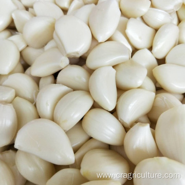 Peeled Garlic Cloves In Brine Price